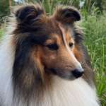 Ersteller:in Franziska Profilbild