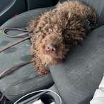 Ersteller:in Anika Profilbild