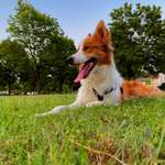 Ersteller:in Anastasia Profilbild