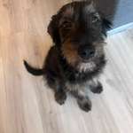 Ersteller:in valeria Profilbild