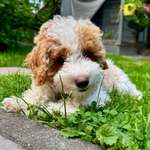 Ersteller:in Jenny Profilbild