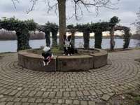 Hundeauslaufgebiet-Elfrather See-Bild