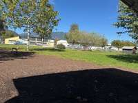 Hundeauslaufgebiet-Hunde Spielplatz Villach-Bild