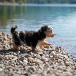 Ersteller:in Nadine Profilbild