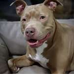 Ersteller:in Deborah Profilbild