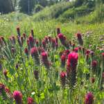 Ersteller:in Nina Profilbild