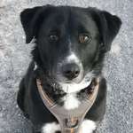 Ersteller:in Stefanie Profilbild