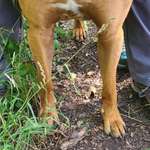 Ersteller:in Julia Profilbild