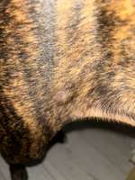 Was ist das-Beitrag-Bild