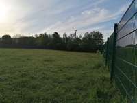 Hundeauslaufgebiet-Hundewiese Karben-Bild