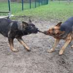 Ersteller:in Josefine Profilbild