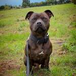 Ersteller:in marcus Profilbild