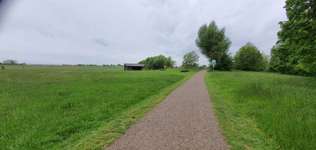 Hundeauslaufgebiet-Ensinger See und Wald-Bild