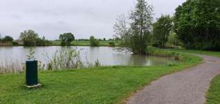 Hundeauslaufgebiet-Ensinger See und Wald-Bild