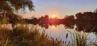 Hundeauslaufgebiet-Ensinger See und Wald-Bild