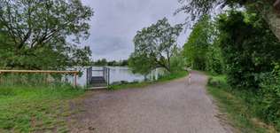 Hundeauslaufgebiet-Ensinger See und Wald-Bild