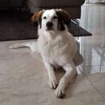 Ersteller:in Nilas Profilbild