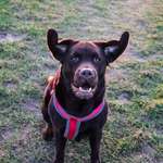 Ersteller:in Agata Profilbild