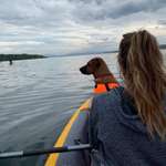 Ersteller:in Steffi Profilbild