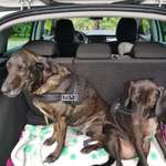 Ersteller:in Susanne Profilbild