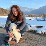 Ersteller:in Steffi Profilbild