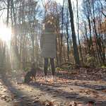 Ersteller:in Luca Marie Profilbild