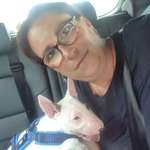 Ersteller:in Anja Profilbild