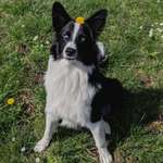 Ersteller:in Lena Profilbild