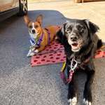 Ersteller:in Denise Profilbild