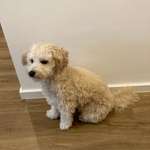 Ersteller:in Laura Profilbild