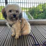 Ersteller:in Alisa & Profilbild