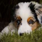 Ersteller:in Laura Profilbild