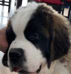 Ersteller:in Petra Profilbild