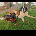 Ersteller:in Katja Profilbild