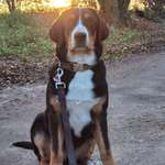 Ersteller:in Stefanie Profilbild