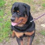 Ersteller:in Anita Profilbild