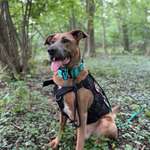 Ersteller:in Lara Profilbild