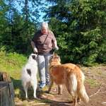 Ersteller:in Dagmar Profilbild