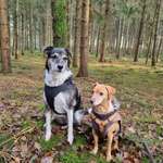 Ersteller:in Ines Profilbild