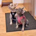 Ersteller:in Heike Profilbild