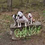 Ersteller:in Apo Profilbild