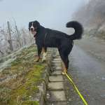 Ersteller:in Samantha Profilbild