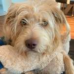 Ersteller:in Lia Profilbild