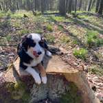 Ersteller:in Anett Profilbild