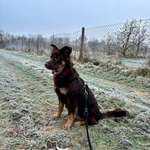 Ersteller:in Chiara Profilbild