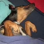 Ersteller:in Angelika Profilbild