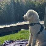 Ersteller:in Rahel Profilbild