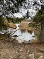 Hundeauslaufgebiet-Puchheim Ort Moosschwaige-Bild