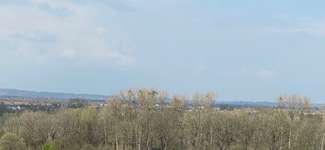 Hundeauslaufgebiet-Emmeringer Leite-Bild