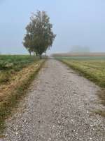 Hundeauslaufgebiet-Puchheim Ort Moosschwaige-Bild